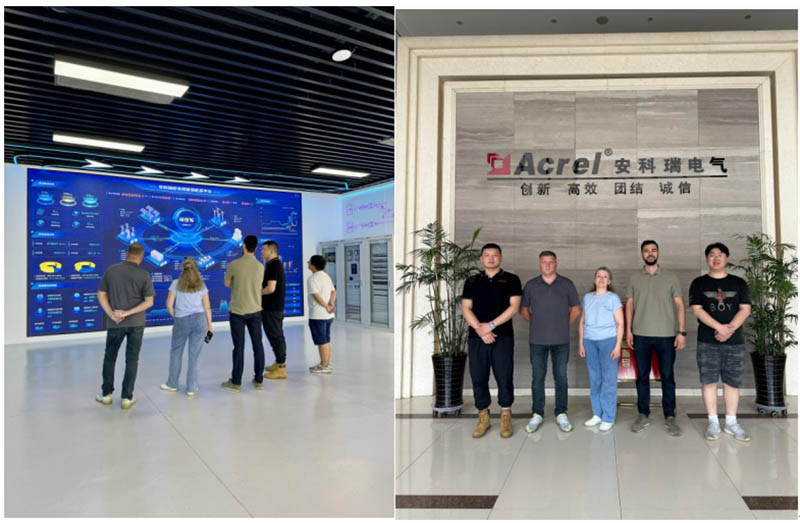 Welcome international paper mill customers visit Acrel